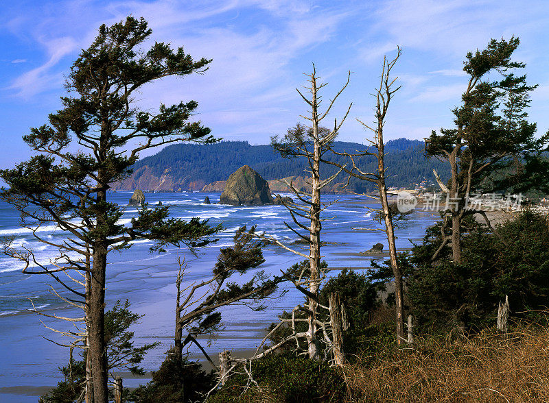 坎农海滩，俄勒冈海岸，干草堆岩，4x5