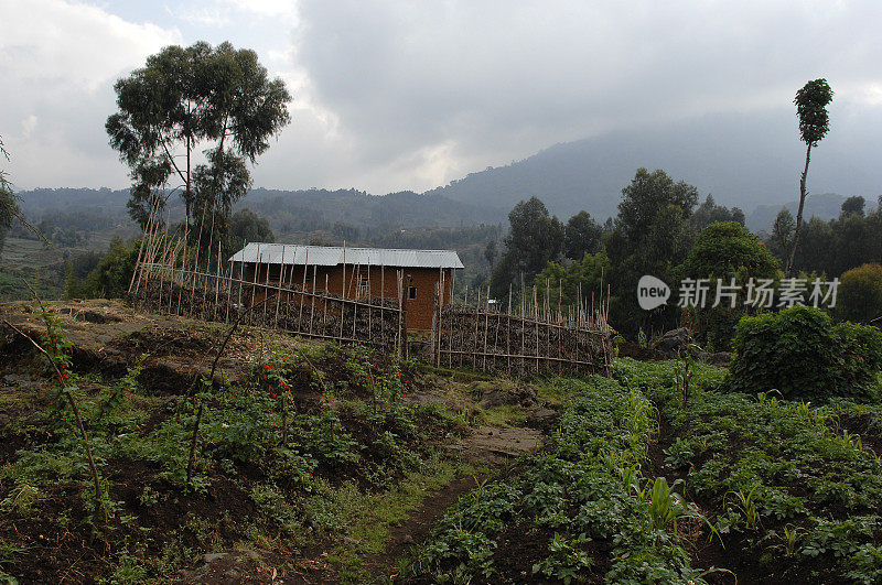 典型的农场在维龙加山脚-北卢旺达