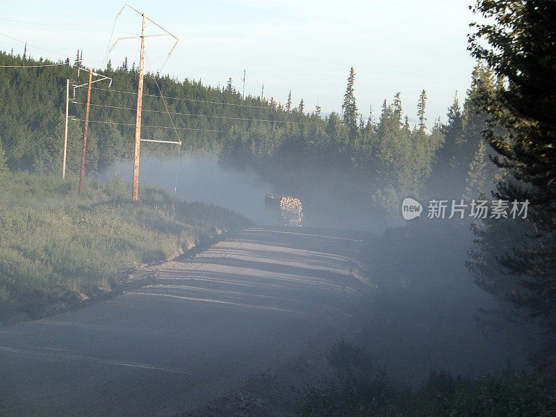 林业道路上的伐木车