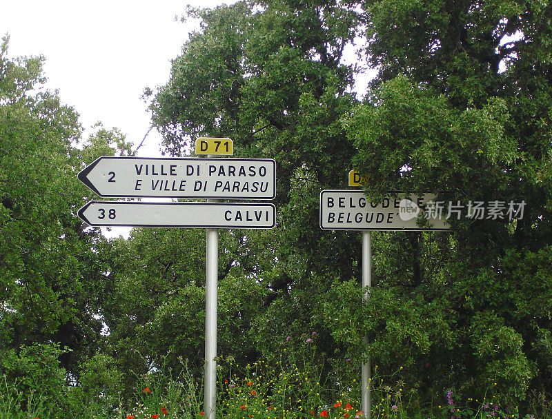 在科西嘉岛上的帕拉索村和卡尔维村的名字符号