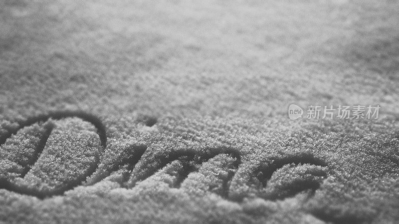 名字迪娜文字雕刻在雪背景壁纸