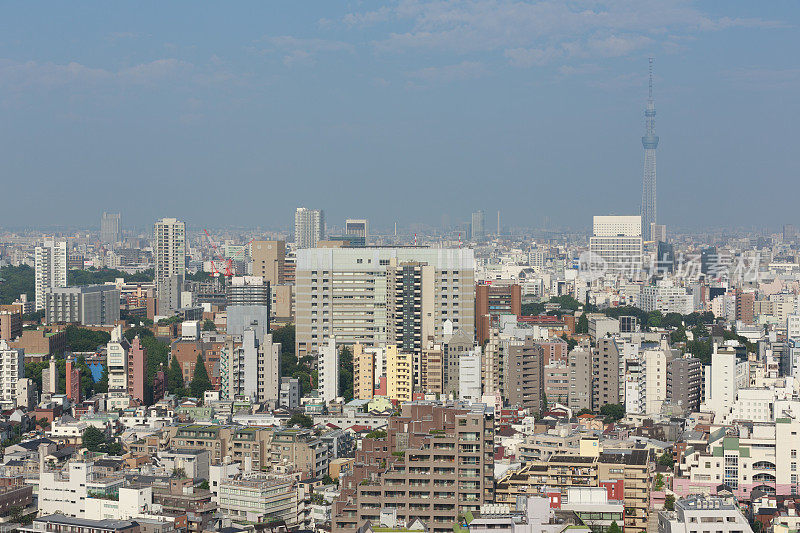 东京天际线和东京天空树在日本