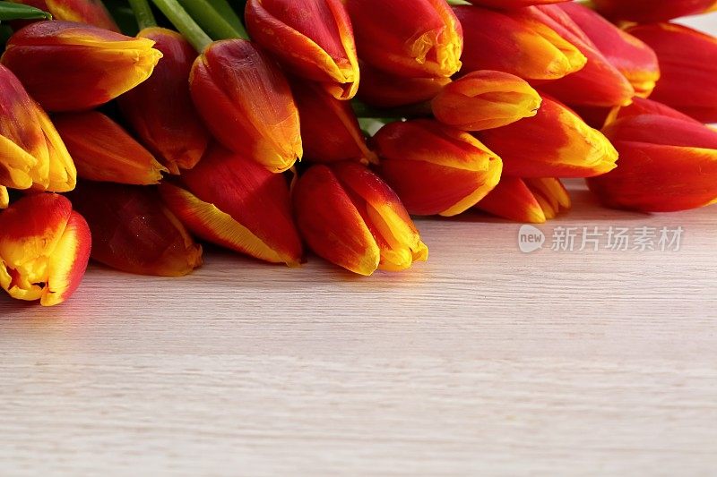 新鲜的郁金香通常被认为是纯真的花朵，当我们没有给它们机会的时候，它们是一个非常令人惊喜的东西。