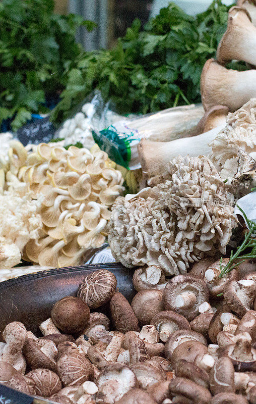 伦敦博罗市场的蘑菇