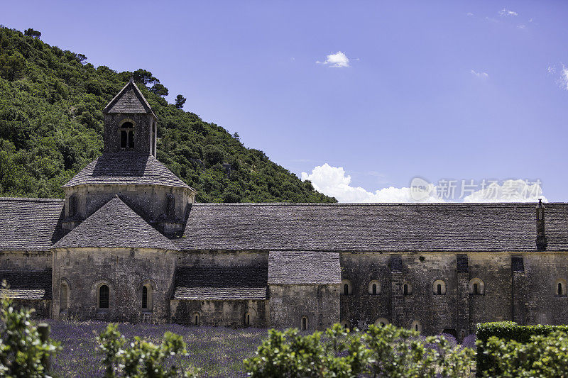 圣母院修道院