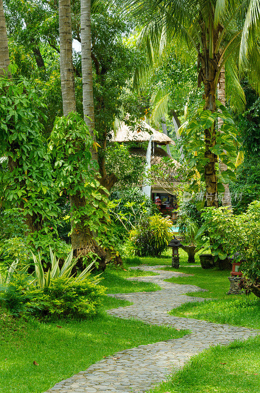 印尼巴厘岛-在村庄Tejakula的美丽海景和棕榈树的度假胜地