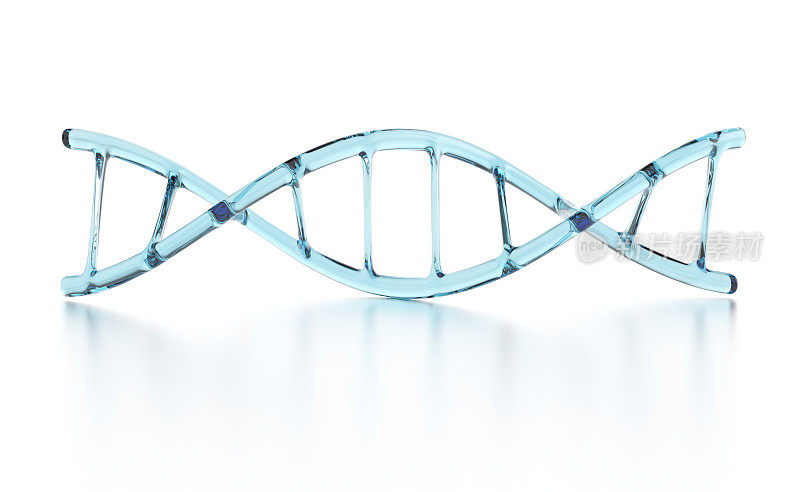 透明的蓝色DNA结构