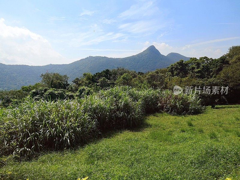 香港清水湾郊野公园高舢板山顶