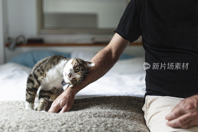 一个成熟的男人和他的猫