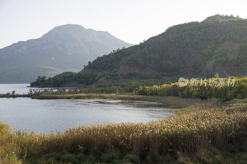 湖景