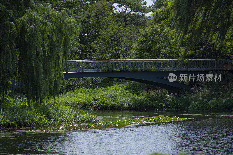 芝加哥植物园