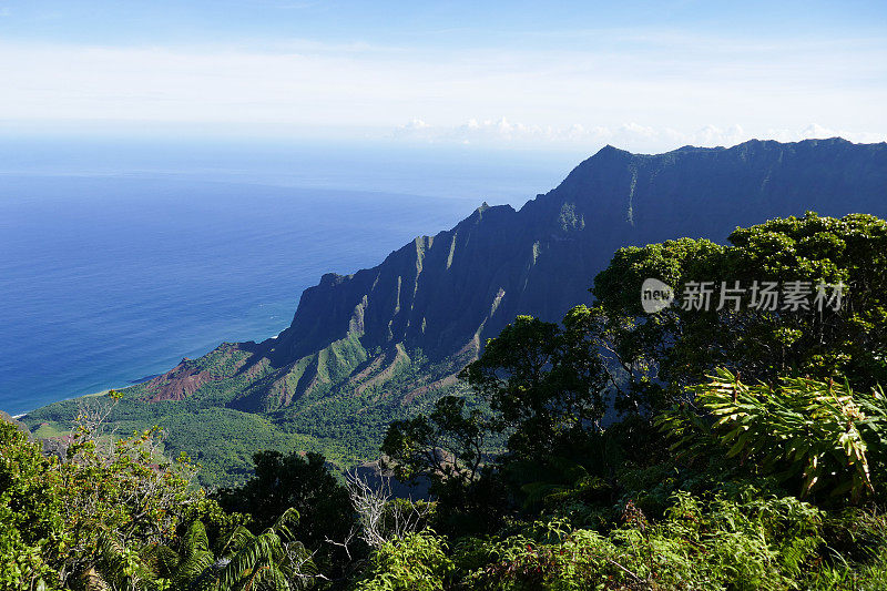 威美亚峡谷，考艾岛，美国夏威夷