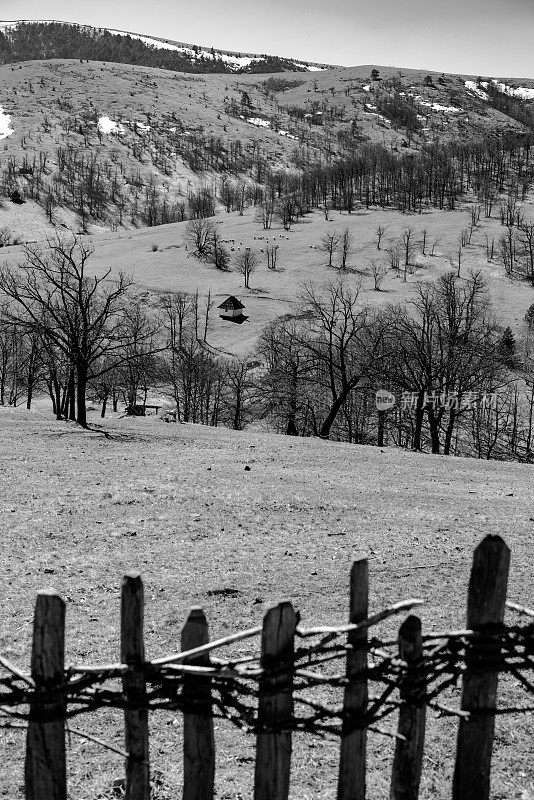 兹拉蒂博尔的初春风景。黑白摄影