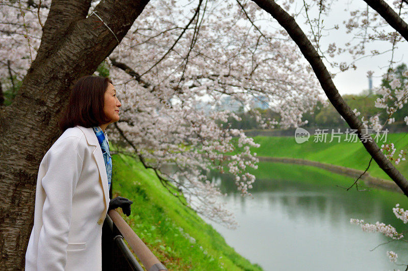 日本女子在东京公园欣赏樱花