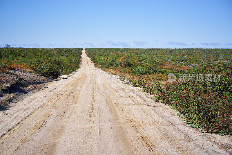 全景式的笔直空旷的乡村道路，苔原