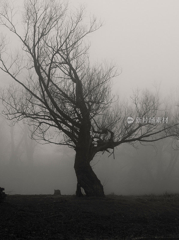 黑暗幽灵般的风景