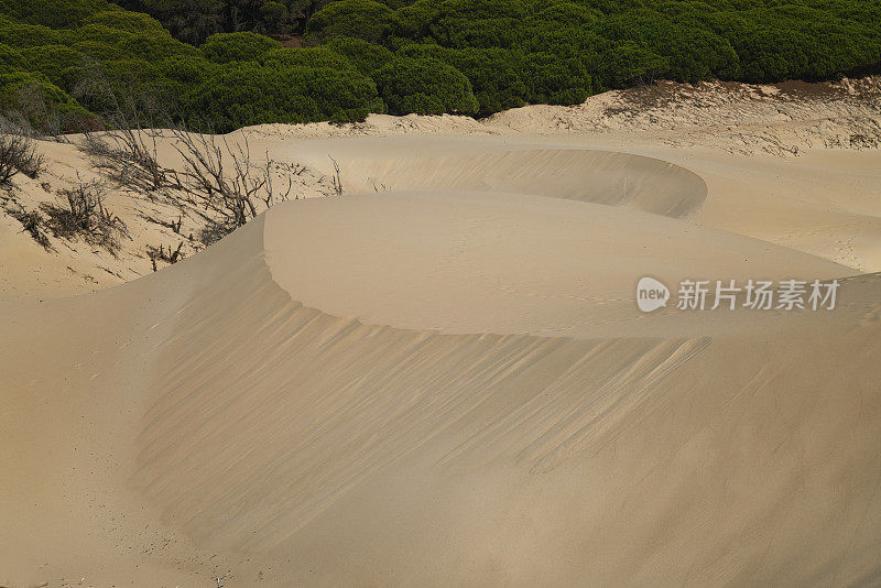 西班牙安达卢西亚加的斯省博洛尼亚海滩的沙丘