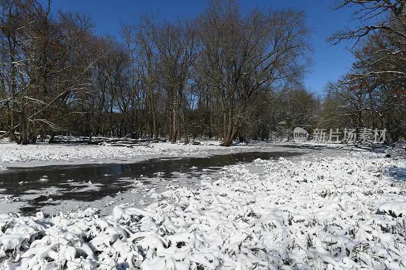 芝加哥的德斯普兰斯河结冰了