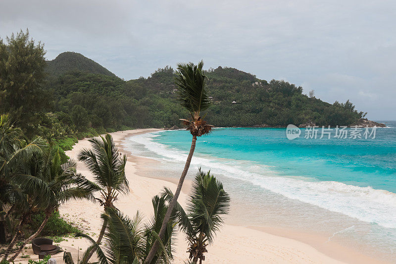 海滩上的棕榈树在Mahé