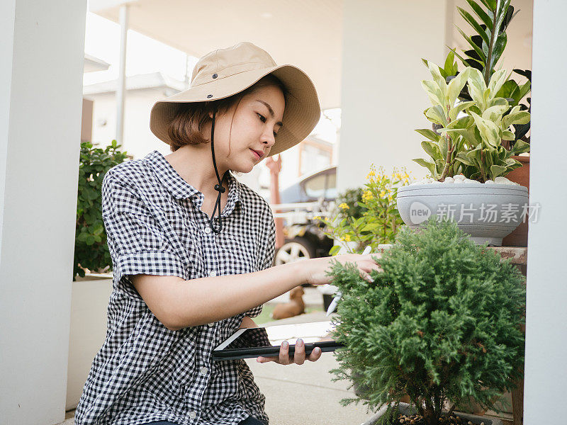 亚洲妇女在花园种植前检查作物。