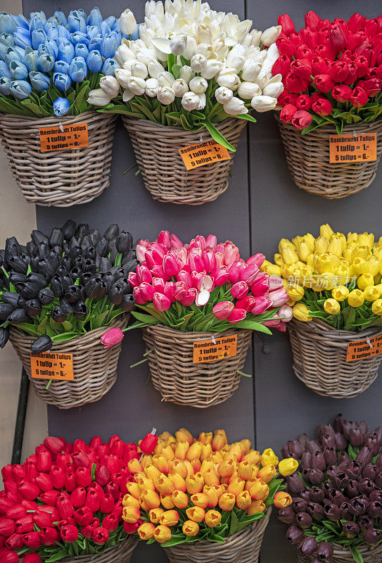 阿姆斯特丹花卉市场上的郁金香