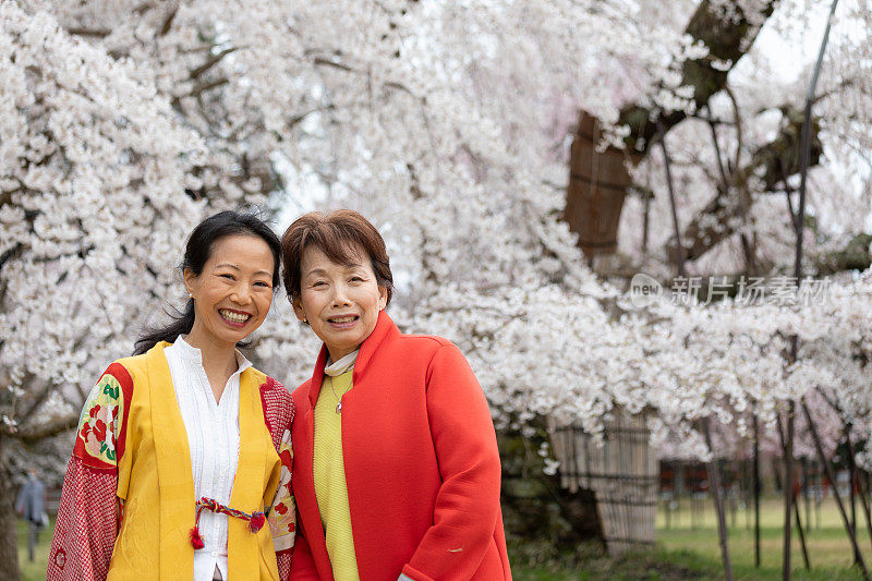 一个日本女人在欣赏樱花