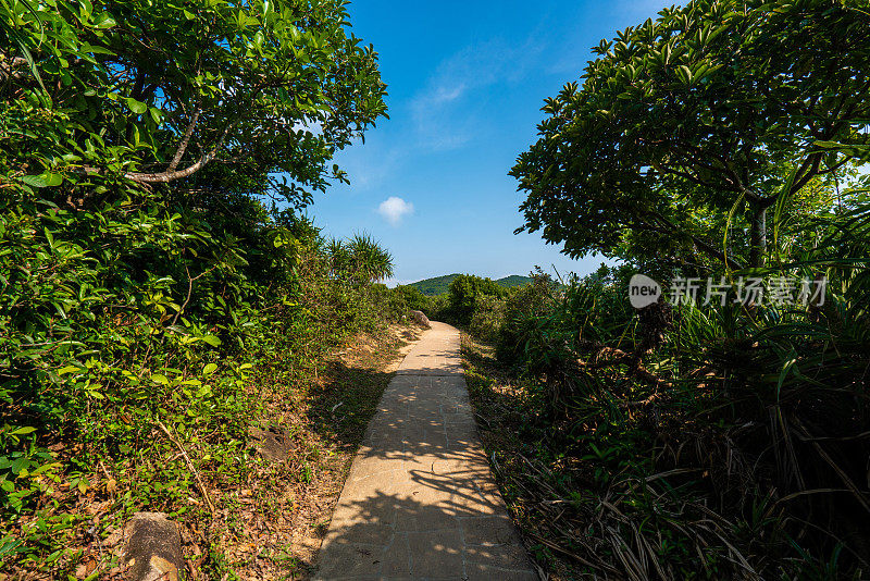 香港草岛徒步旅行路线