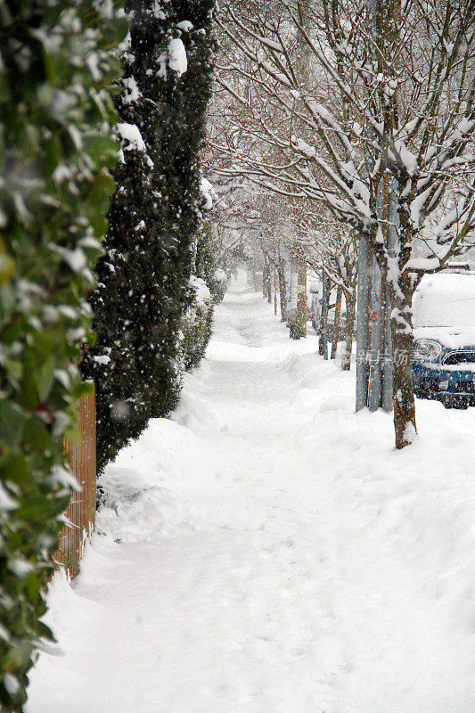 雪道路