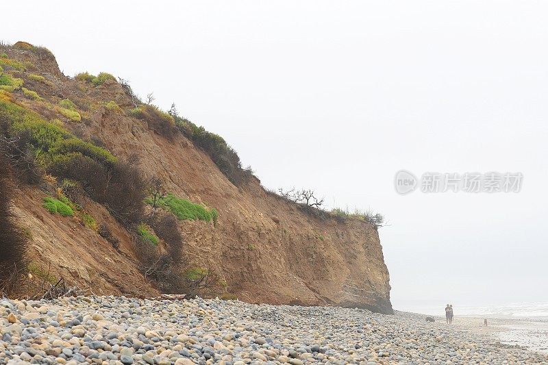 悬崖与植被俯瞰圣奥诺弗雷州立海滩，美国加利福尼亚州