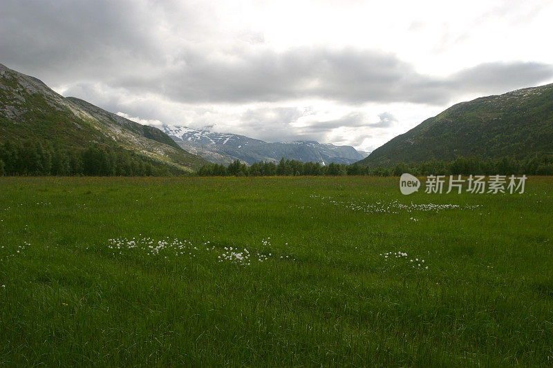 挪威自然荒野景观