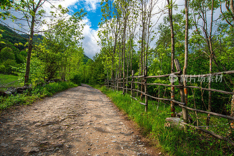 蜿蜒的道路在老山或斯达拉平原的乡间穿行