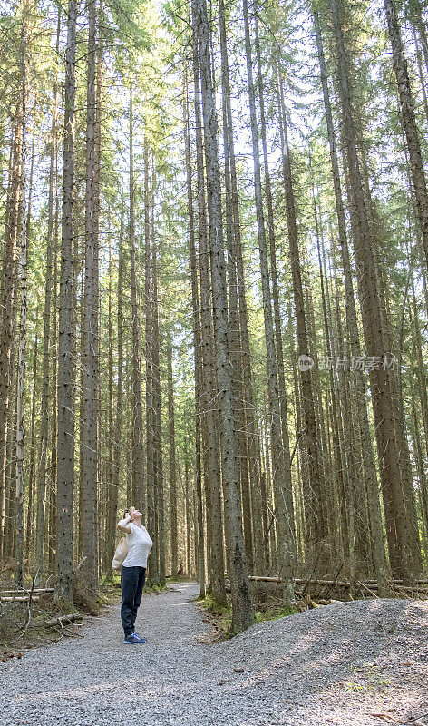 一个女孩站在森林的道路上，抬头看着松树的顶部。芬兰的Repovesi国家公园。