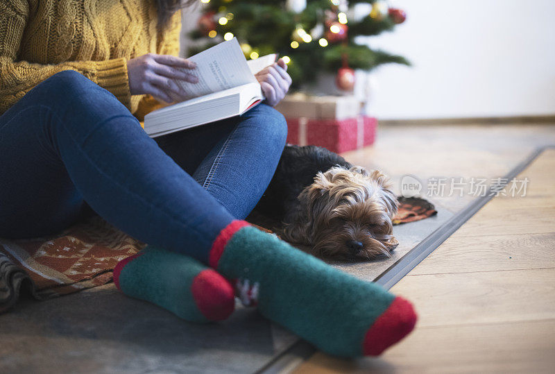 一个女人在看一本书，她的狗在她和圣诞树旁边