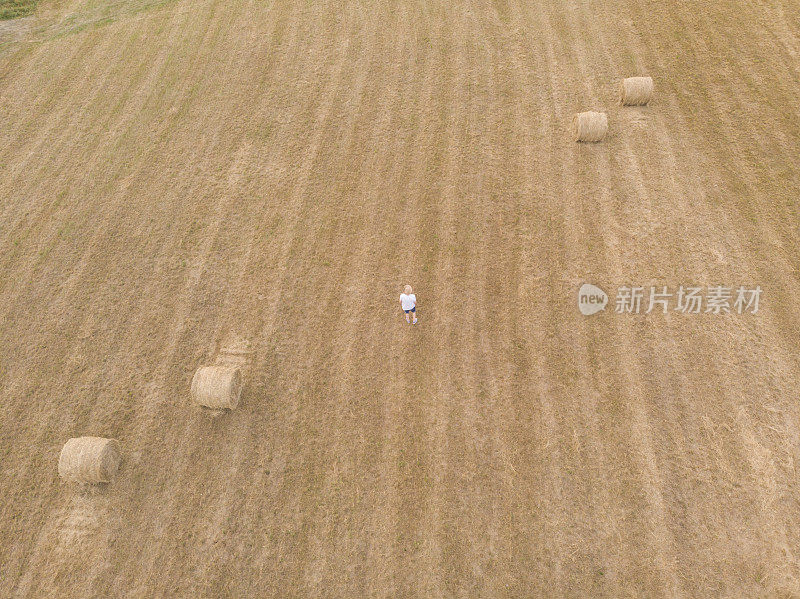 成年农民在草坪草农业区。鸟瞰图。