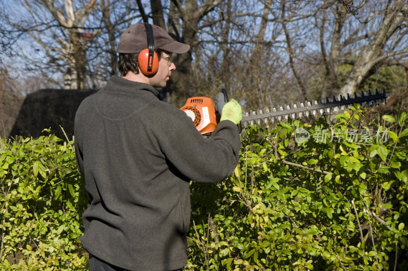 男子修剪树篱穿戴安全设备