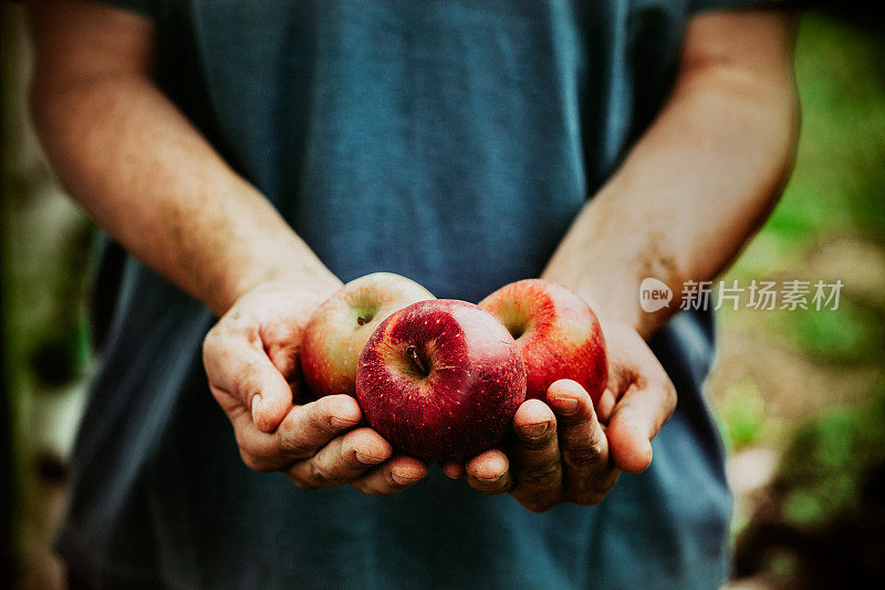 农民与苹果