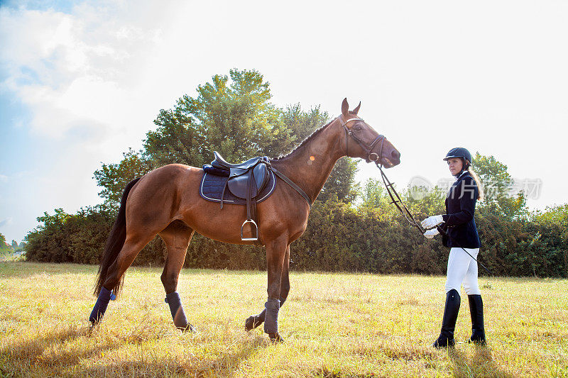 美丽的骑师女孩站在她的马旁边。