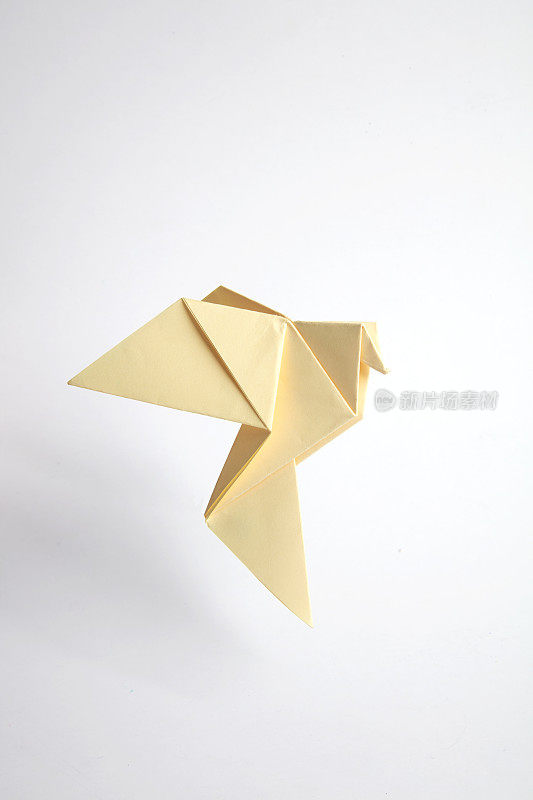 折纸纸蜂鸟