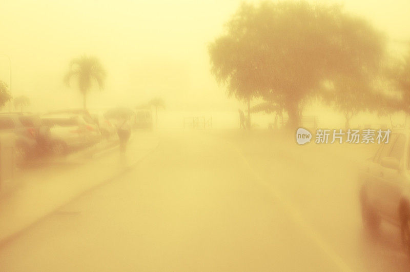 风雨交加的街道上有季雨