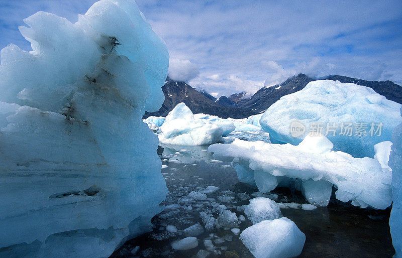 冰山在格陵兰岛