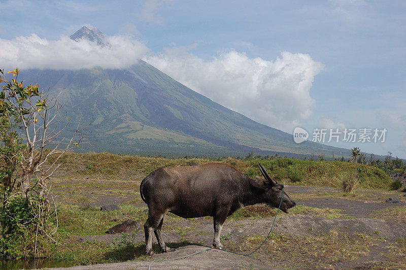 马荣火山下的水牛城，菲律宾