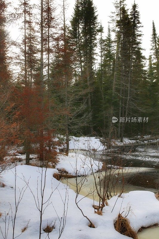 佛蒙特维尔，阿迪朗达克，纽约，部分冻结的溪，雪，冬季景观