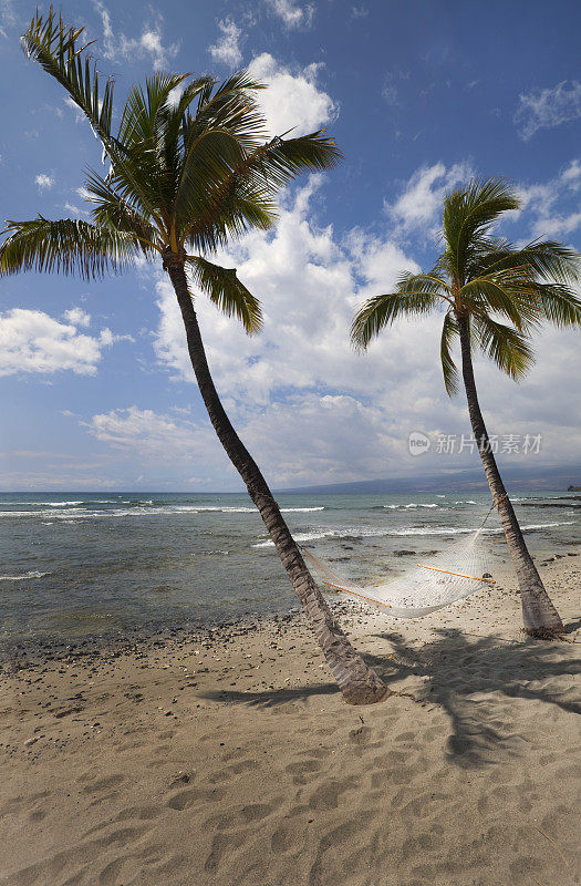 热带海滩上的空吊床