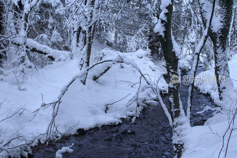 冬季印象陶纳斯，德国