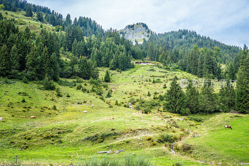 奥地利山