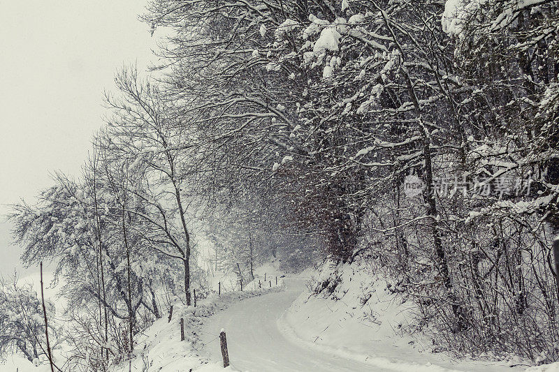 冬天的路和雪