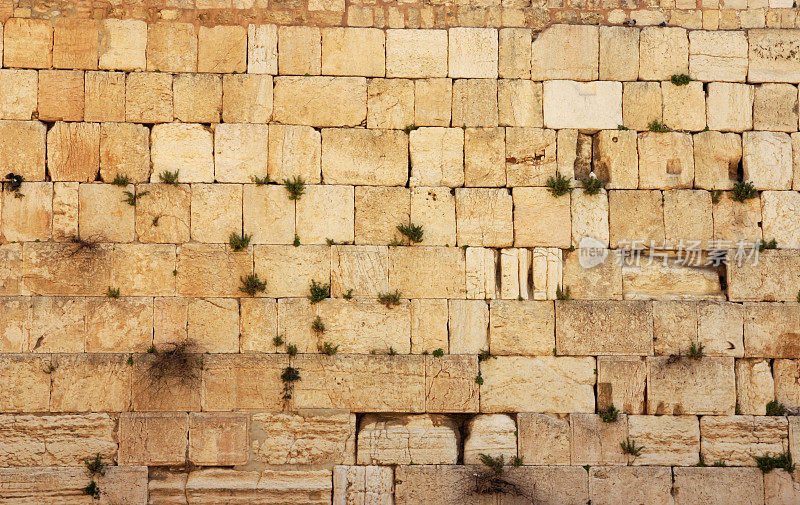 耶路撒冷西墙的石头。