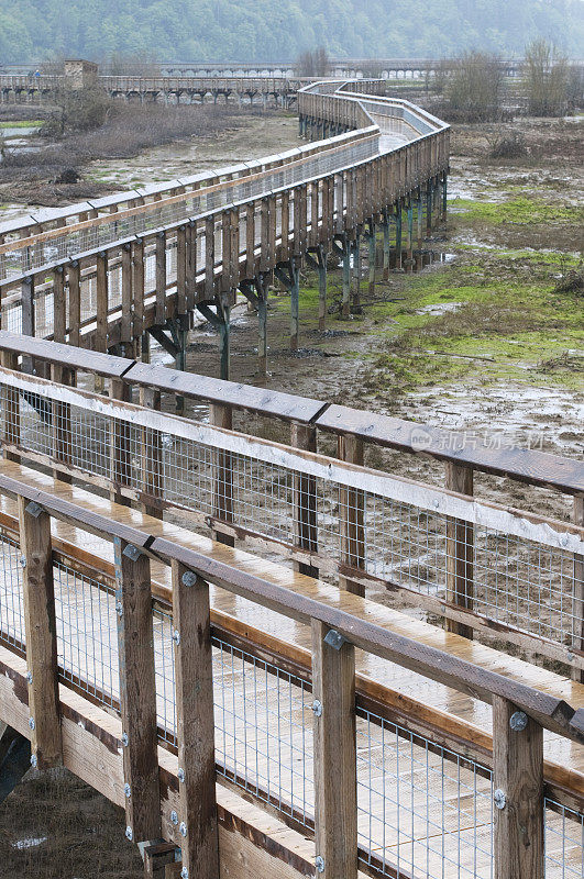 穿过野生动物保护区内已修复的潮滩的高架走道