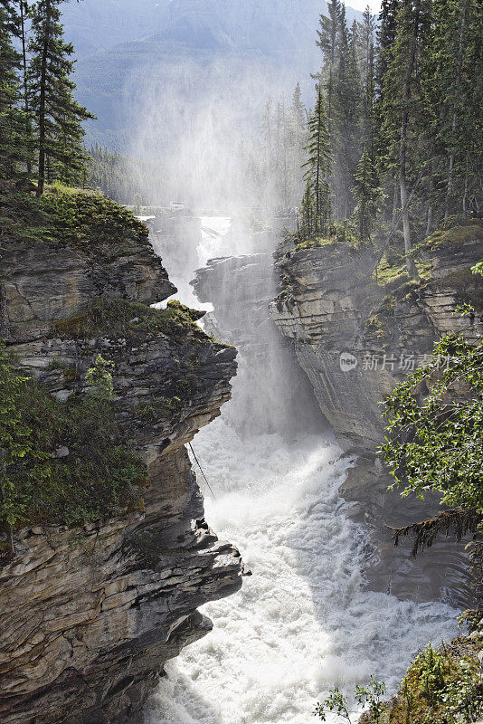 阿萨巴斯卡瀑布，贾斯珀国家公园，加拿大阿尔伯塔省