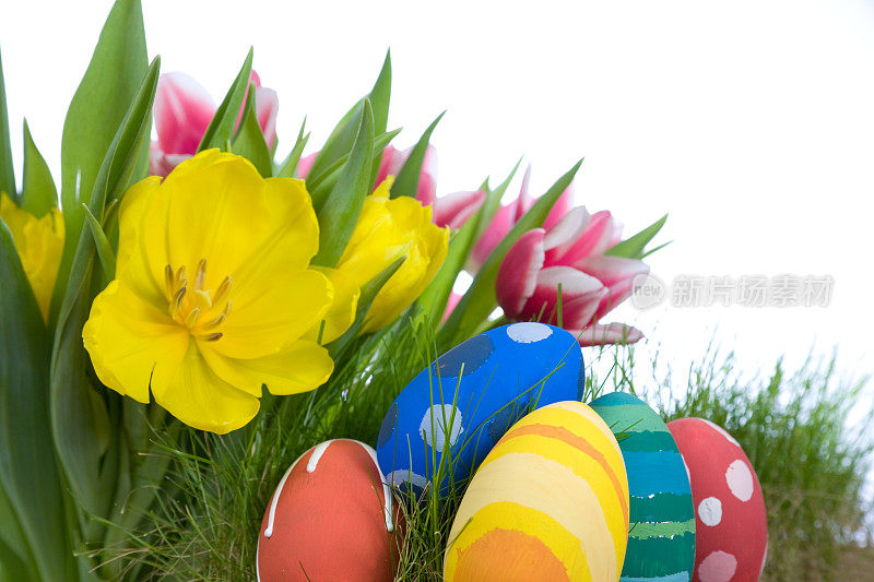 郁金香和手绘复活节彩蛋